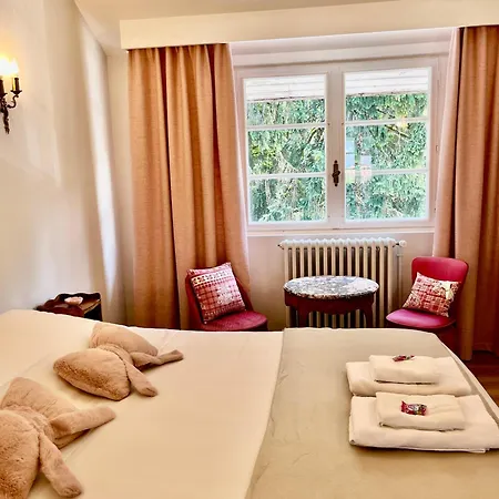L'essai - 8 Personnes - Lourdes